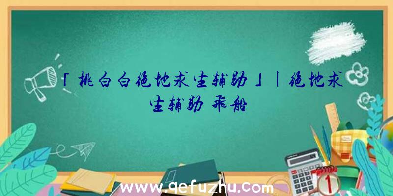 「桃白白绝地求生辅助」|绝地求生辅助